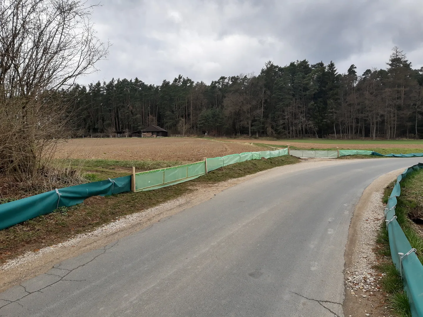BUND Naturschutz - Aufruf zur Amphibien Sammelaktion 2026