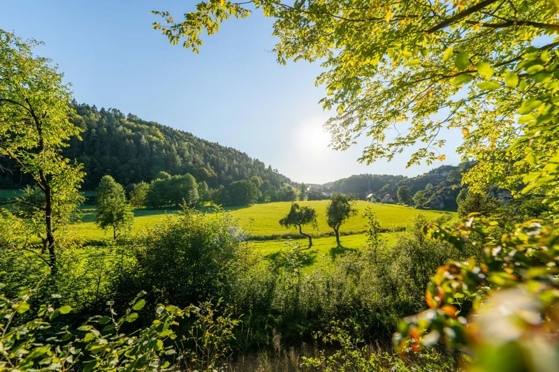 Stellenausschreibung Reinigungskraft Grundschule