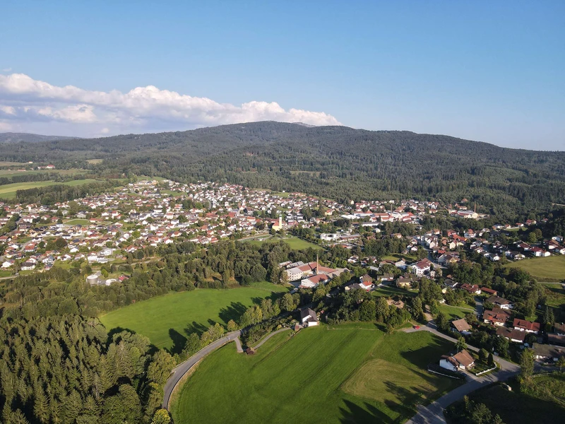 Wanderung mit Alpakas in Frauenau