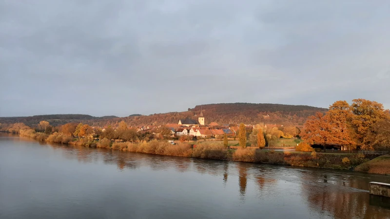 Abdeckreisig aus dem Gemeindewald