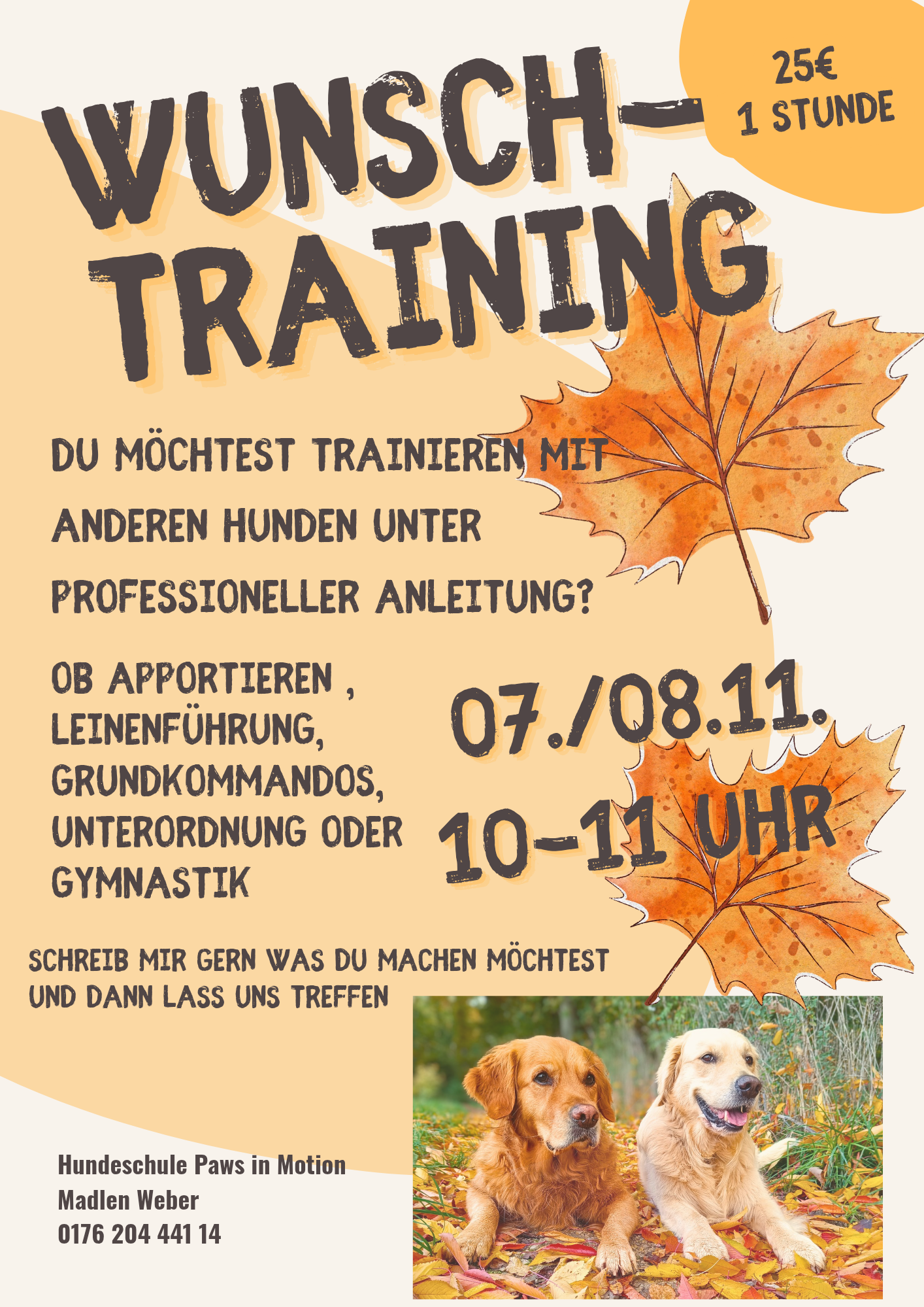 Hundetraining 