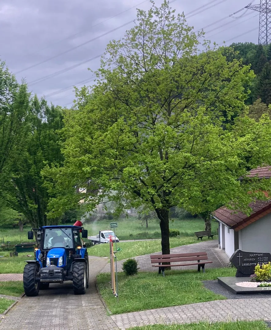 Präventive Bekämpfung des Eichenprozessionsspinners in Gründau am 29. und 30. April. ❗🐛