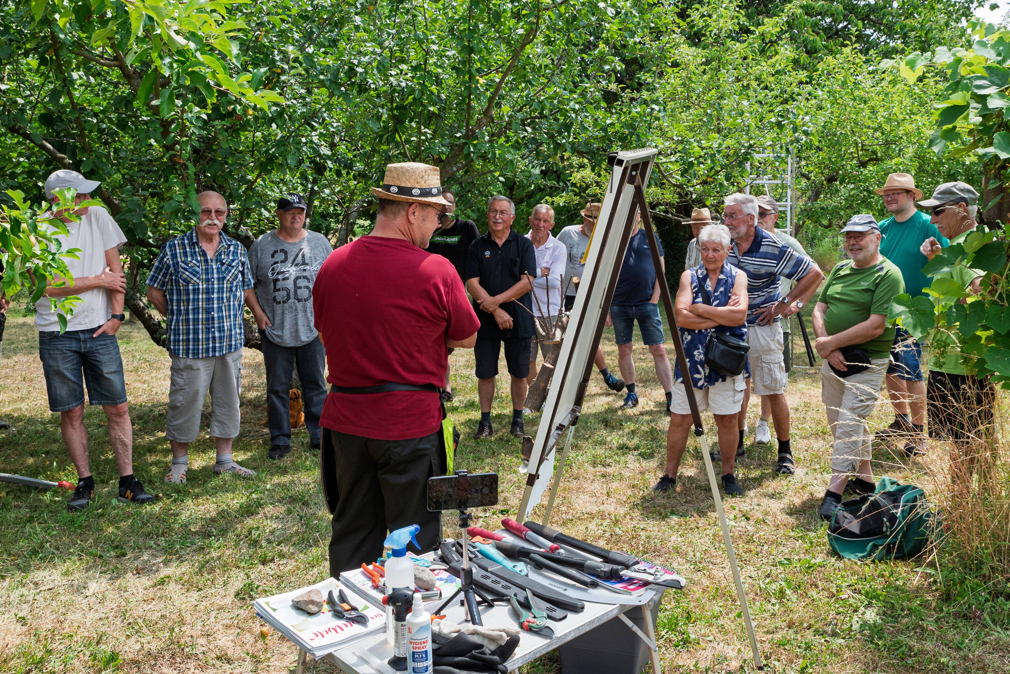 Fachkundige Tipps beim Obstbaumschnitt in Niedergründau