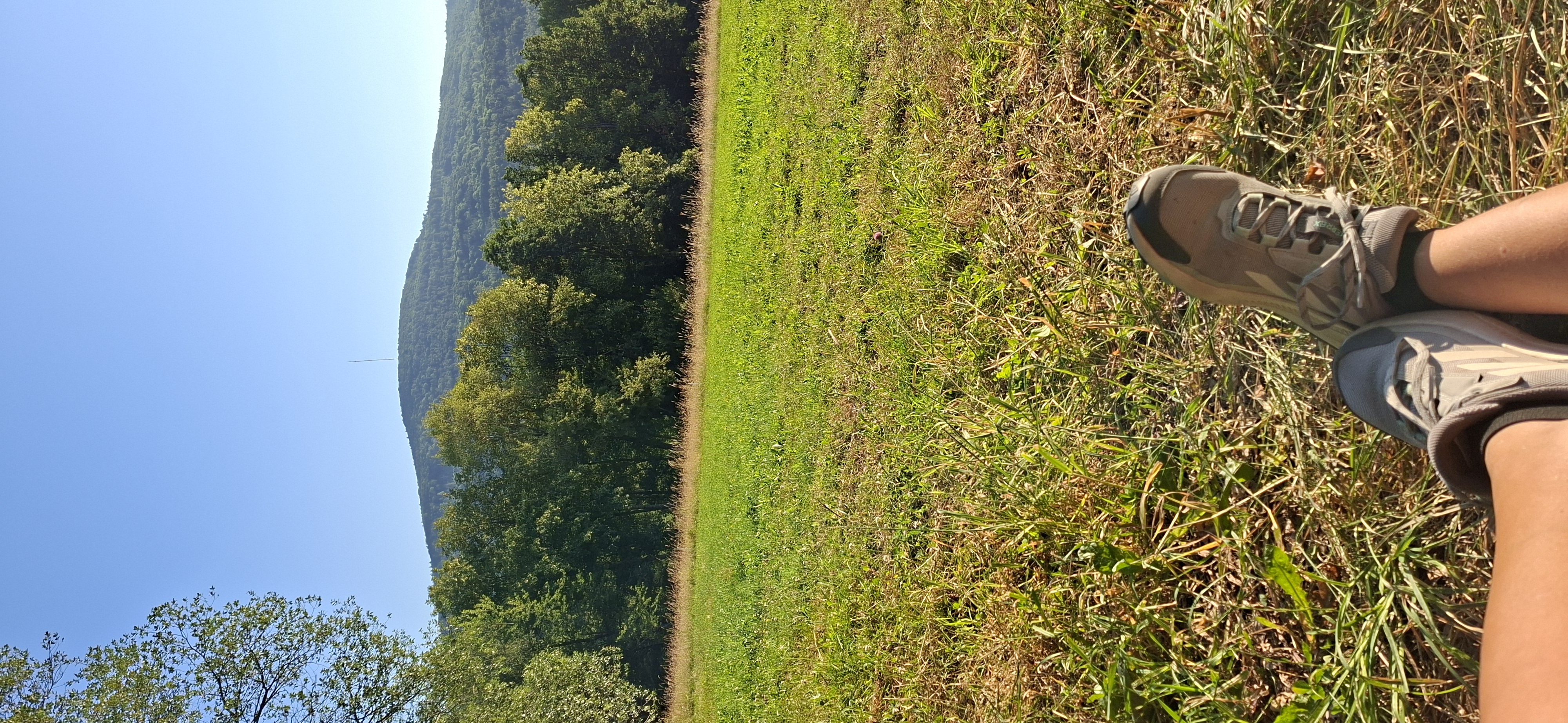 Schritt für Schritt – Ein Landkreis in Bewegung