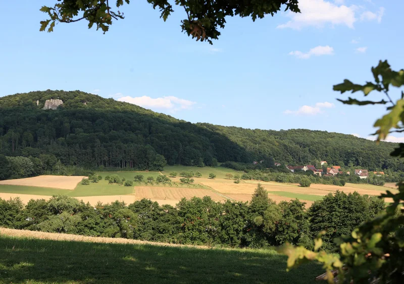 Gemeindliche Grundstücke zum Pachten frei