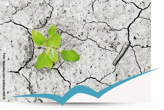 Antrag auf Förderung eines gemeinsamen Klimaschutzmanagements und Klimaschutzkonzepts