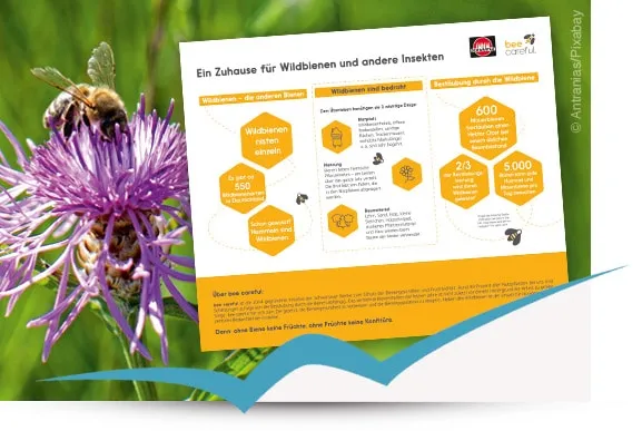 Wildbienen-Infoschilder