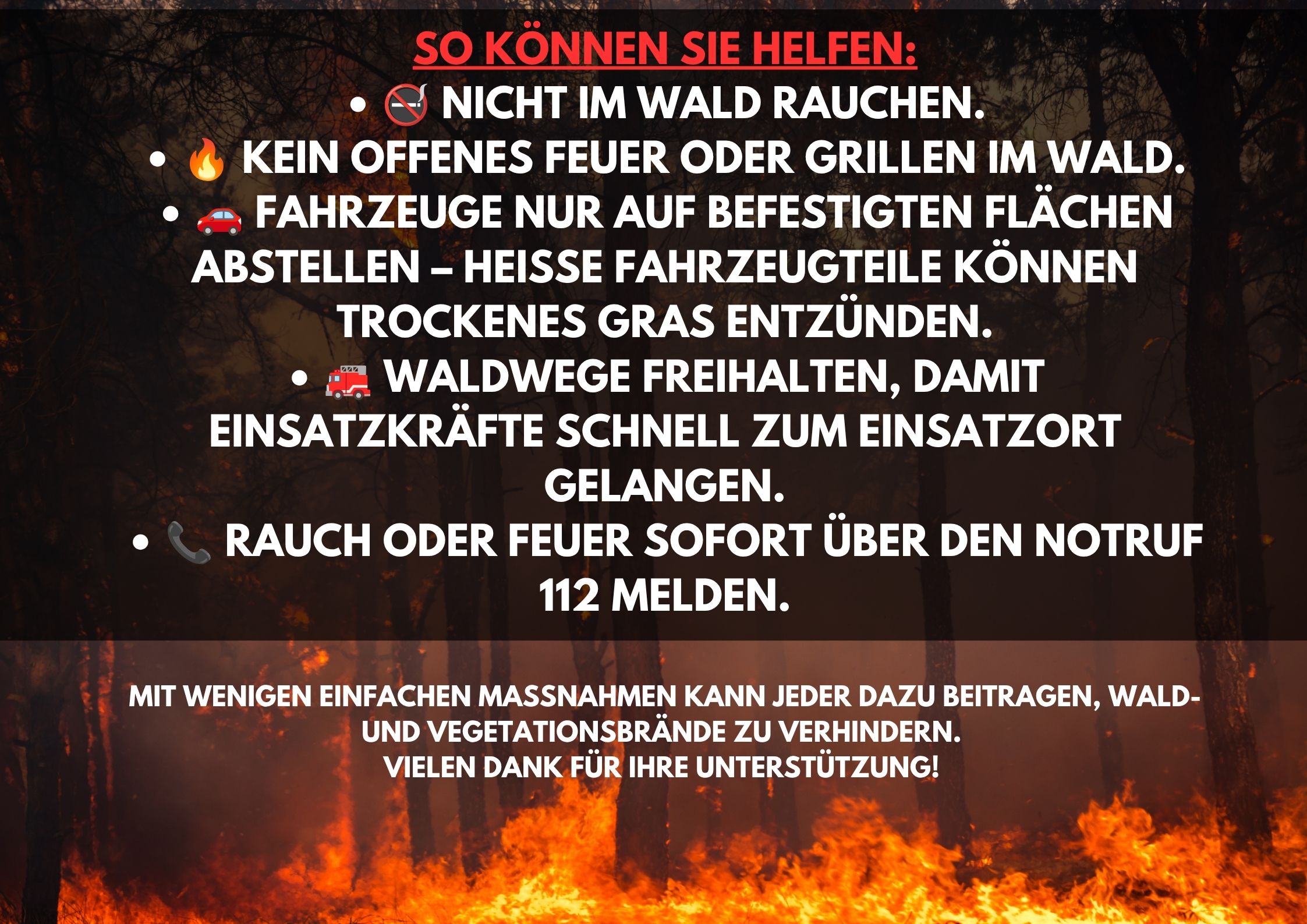 Hohe Wald- und Vegetationsbrandgefahr im Main-Kinzig-Kreis