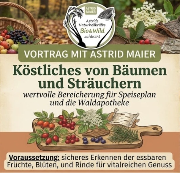 Jahreshauptversammlung Frauenbund Perach