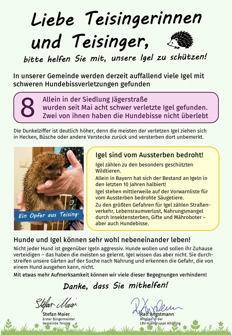So können wir unsere Igel vor Hundebissen schützen - bitte helfen Sie mit.