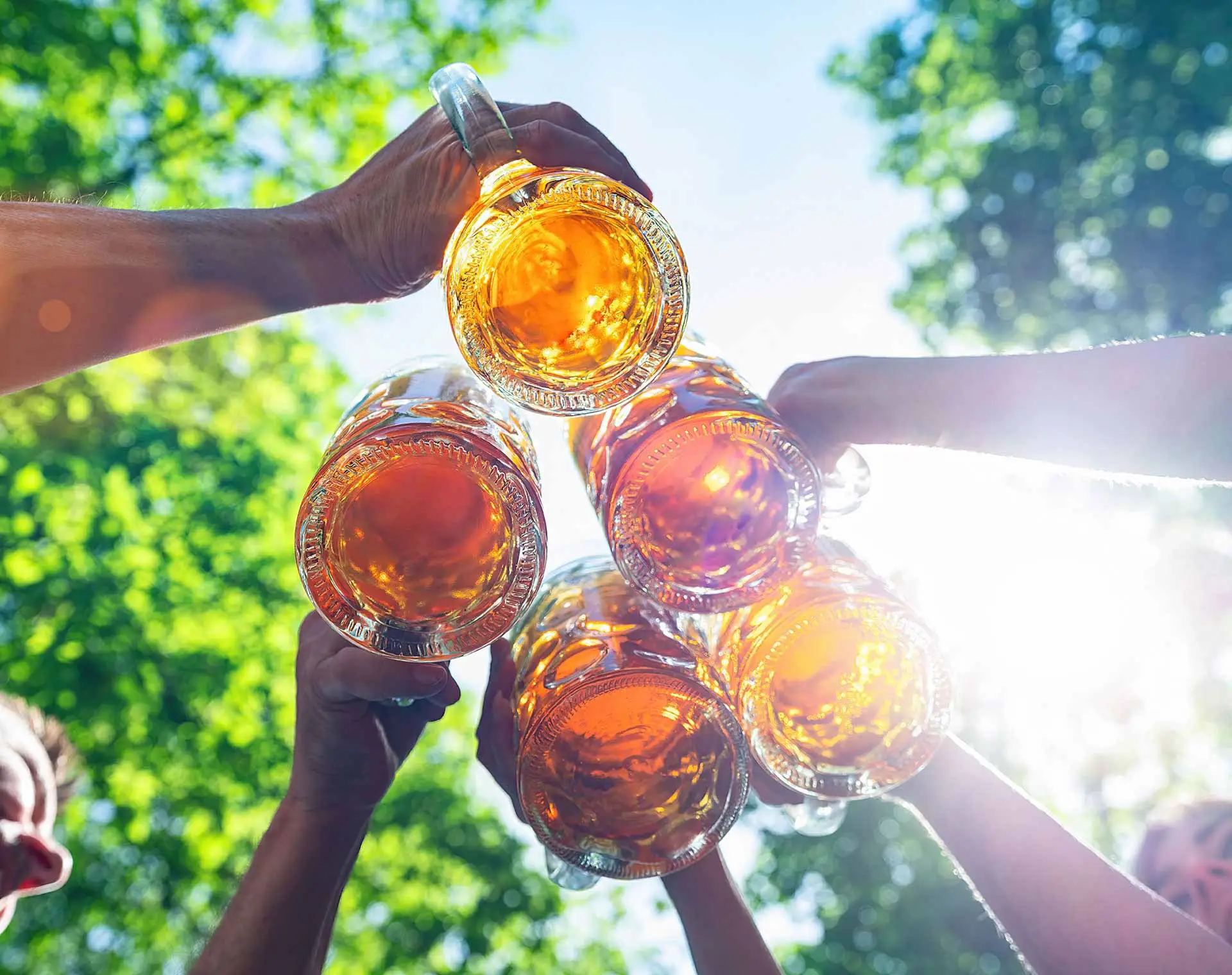 Dirndl Gastro & Vereine