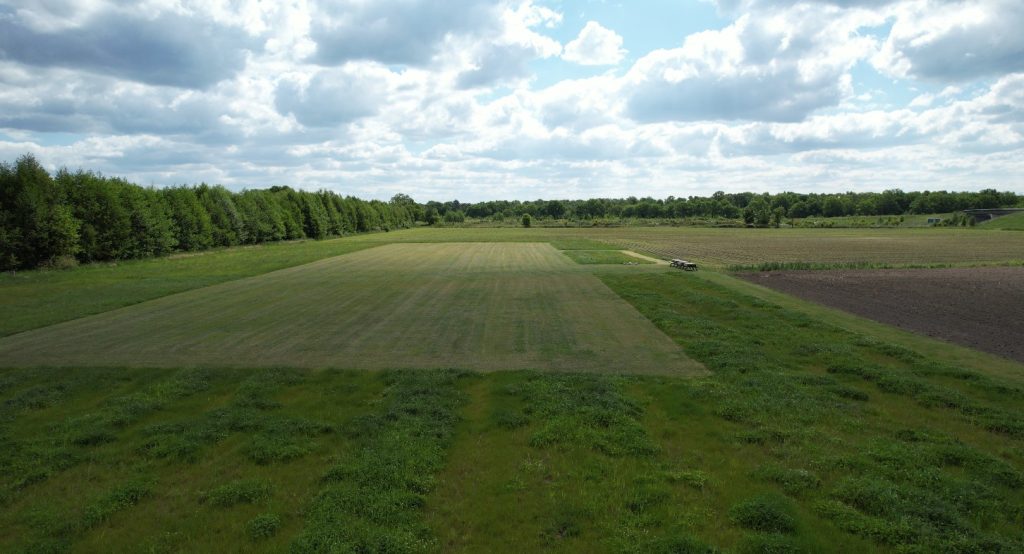 Ons veld