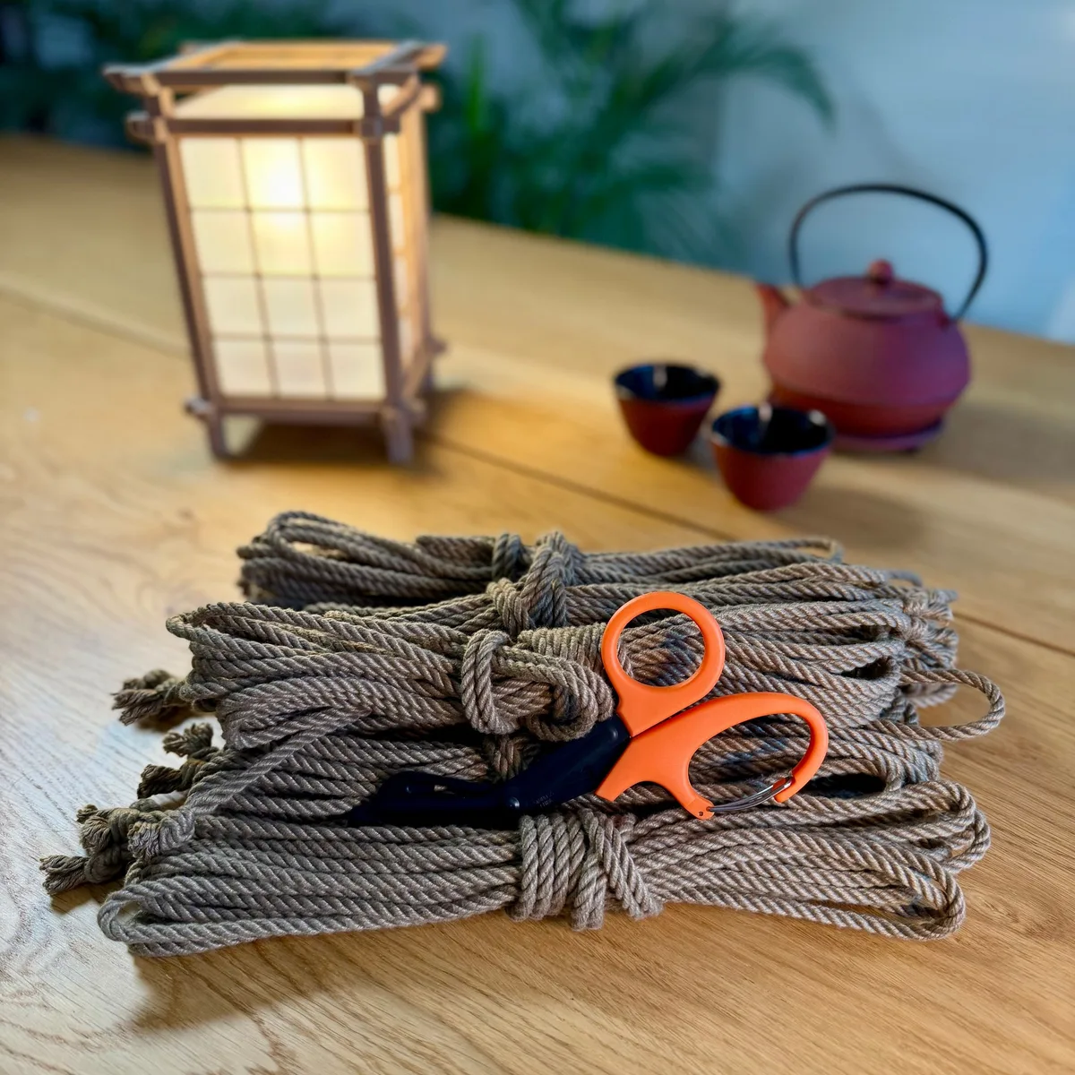 POSH touw, 8 m