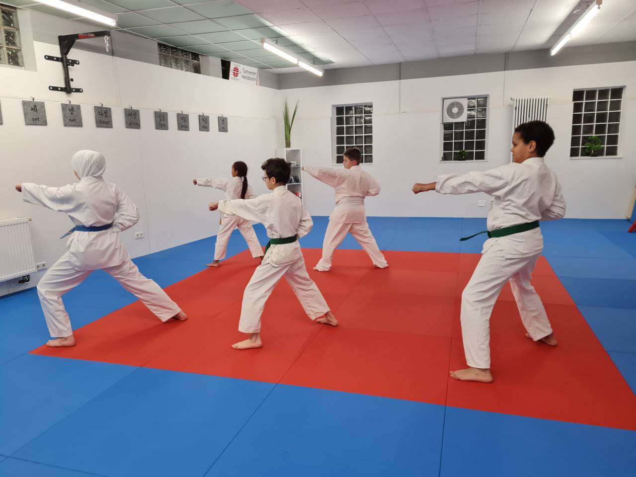 Taekwondo