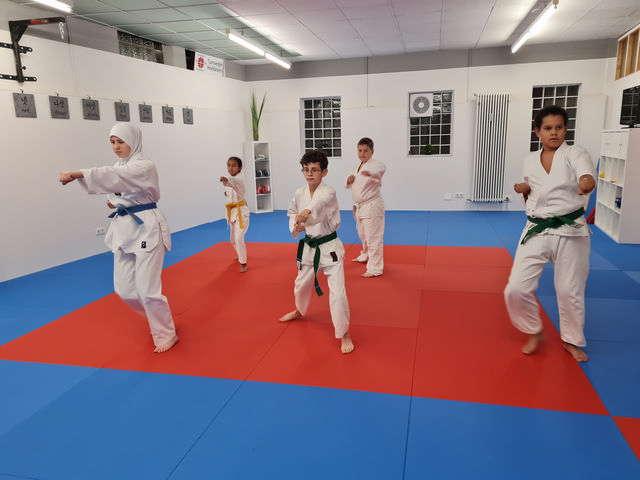 Taekwondo