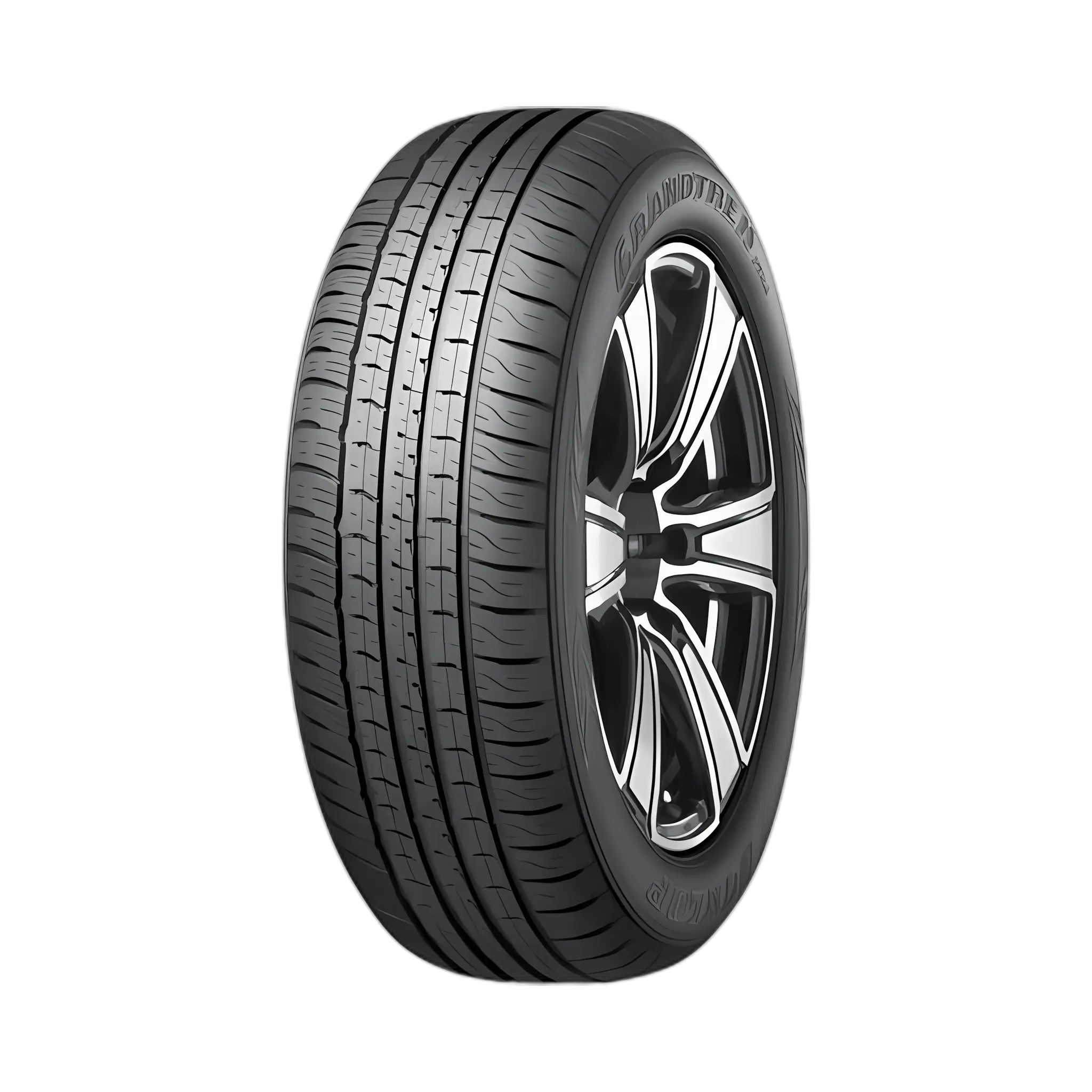 Dunlop Grandtrek PT5 265/65R18 Tyres in UAE | TyresOnline