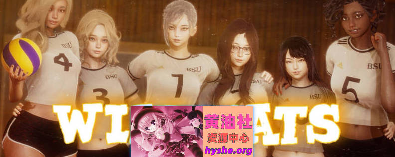 野猫V0.3 官方中文版[PC+安卓][6.2G]