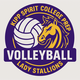 Volleyball
