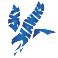 Dvskyhawks outline