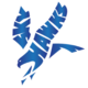 Dvskyhawks outline