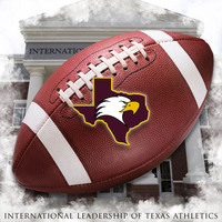 Flag football logo