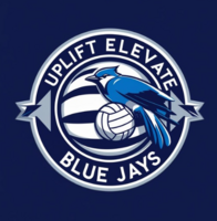 Mens volleyball logo