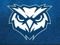 Founders owl