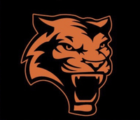 Tiger logo %28orange%29