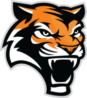 Tiger logo colorful