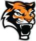 Tiger logo colorful