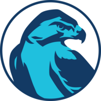 Hawks mascot for circle in sports you