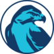 Hawks mascot for circle in sports you