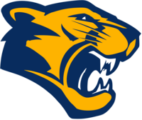 Cougar image