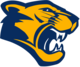 Cougar image