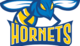 Idea harlingen  logo