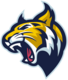 Bobcat head transparent