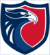 Eagle logo 1