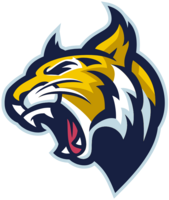 Bobcat head transparent