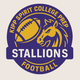 Football %281%29