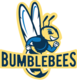 Idea bumblebees