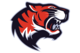 El paso harmony school of innovation tigers large