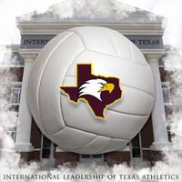 Volleyball logo