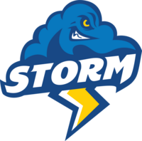 Idea storm 2025
