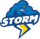 Idea storm 2025