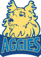 Idea palmview aggies