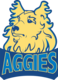 Idea palmview aggies