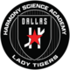 Lady tigers volleyball 8