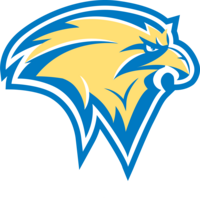 Falcon logo original