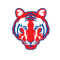 New tiger logo