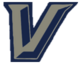 Navysilverv logo